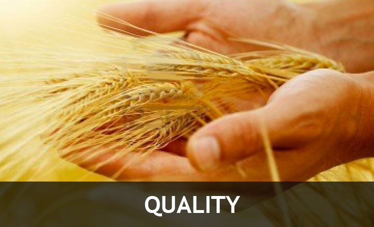 home-quality