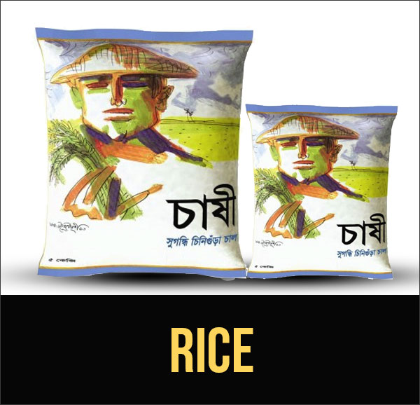 cat-rice-17-roll