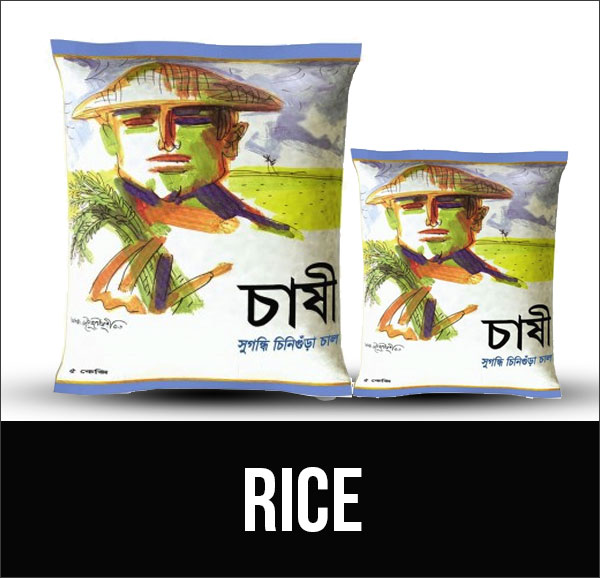 cat-rice-17